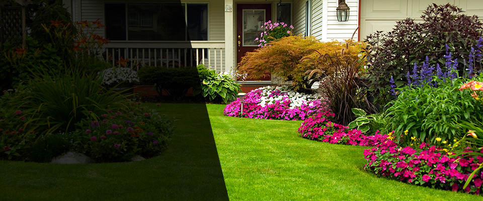 Norwalk Landscapers